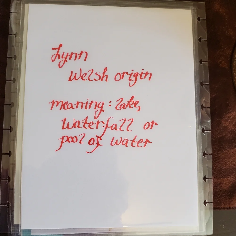 Handmade cover for your Classic size Disc Bound Planner Lynn
